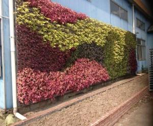 锦州大连室外植物墙