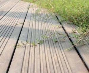 竹木地板