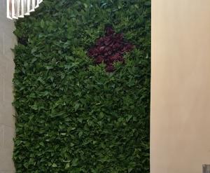 长春大连植物墙设计