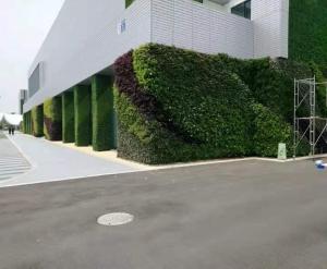 苏州大连墙体绿化